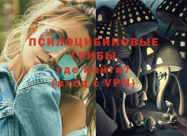 дживик Покачи