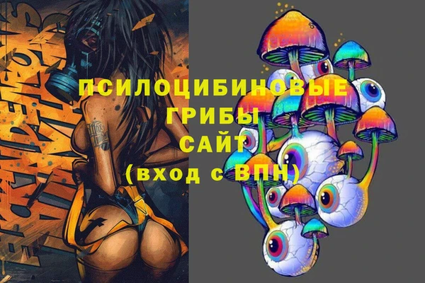 ПСИЛОЦИБИНОВЫЕ ГРИБЫ Балахна