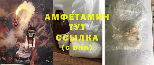 ПСИЛОЦИБИНОВЫЕ ГРИБЫ Балахна