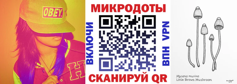 наркотики  Спасск-Дальний  Галлюциногенные грибы Psilocybine cubensis 